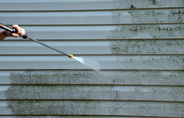 Best Mold Cleaning Services  in Chanute, KS