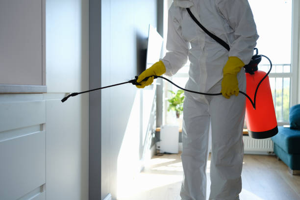 Certified Mold Removal in Chanute, KS