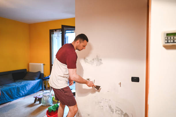 Best Residential Mold Removal  in Chanute, KS